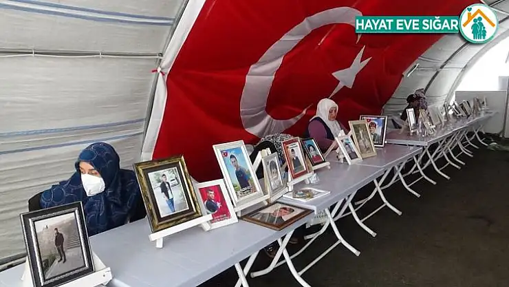 Zorla dağa kaçılan Süleyman'ın ablası, küçük bebeğiyle birlikte kardeşinin yolunu gözlüyor