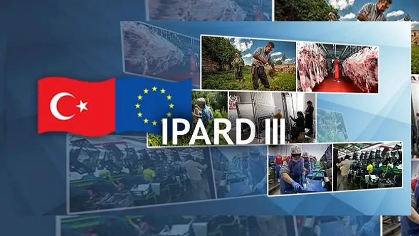 1,7 Milyar TL Hibe ile Kırsalda Yeni Yatırım Dalgası