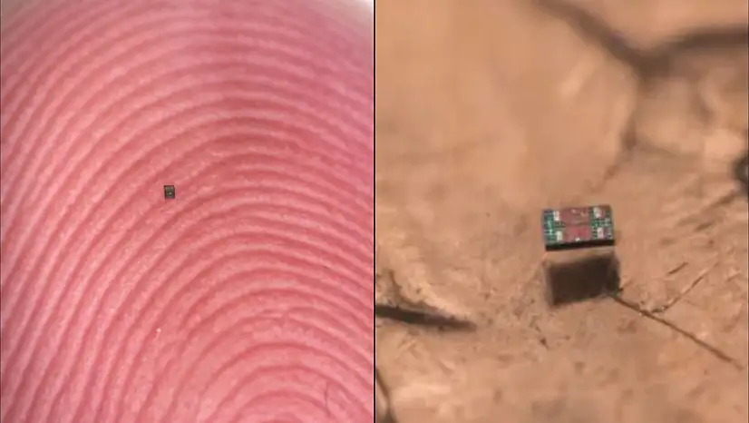 Bilim İnsanları Başardı: Tuz Tanesi Kadar Otonom Robot