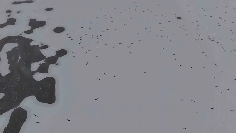 Cip Baraj Gölü buz tuttu