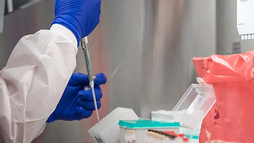 İlk H5N1 Türü Kuş Gribi Tespit Edildi