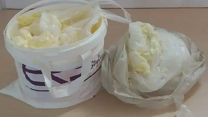 Krema ve Kaymakta Yeni Dönem Başladı