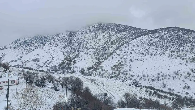 Malatya'da kırsal kesimlerde kar etkili oluyor