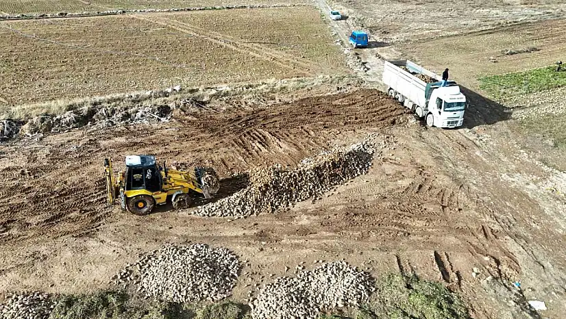 Malatya'da şeker pancarında yüksek verim çiftçinin yüzünü güldürdü