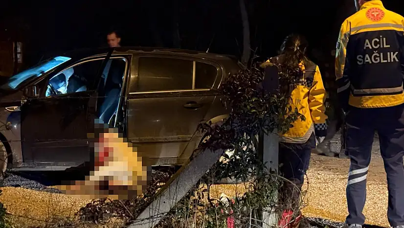 Otomobilde işlenen cinayetle ilgili 2 tutuklama