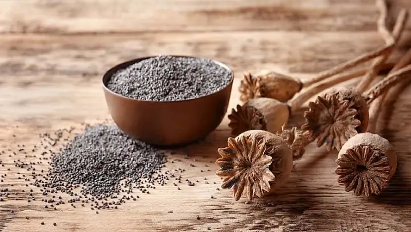 TMO mavi renkli haşhaş tohumunun satışına başladı