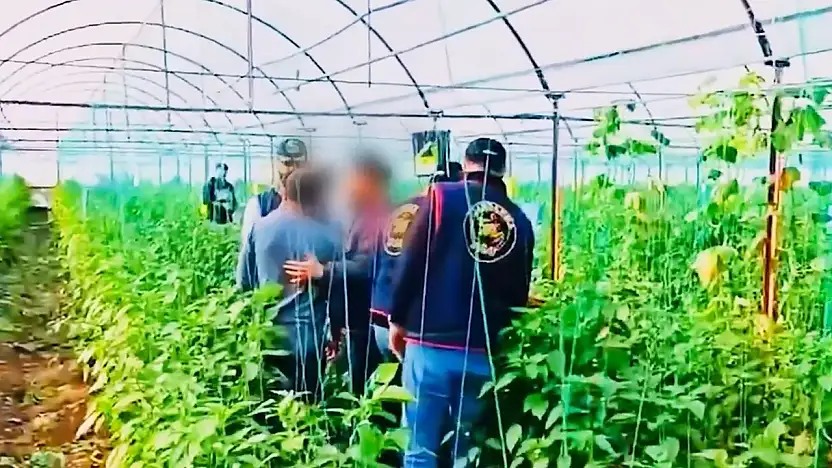 7 Yıllık Cinayet Firarisi Sera Bahçesinde Yakalandı