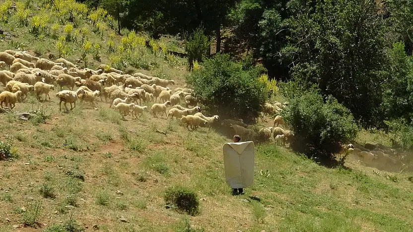 Babacan Mezrası Üreticileri Su ve Elektrik Sorunuyla Boğuşuyor