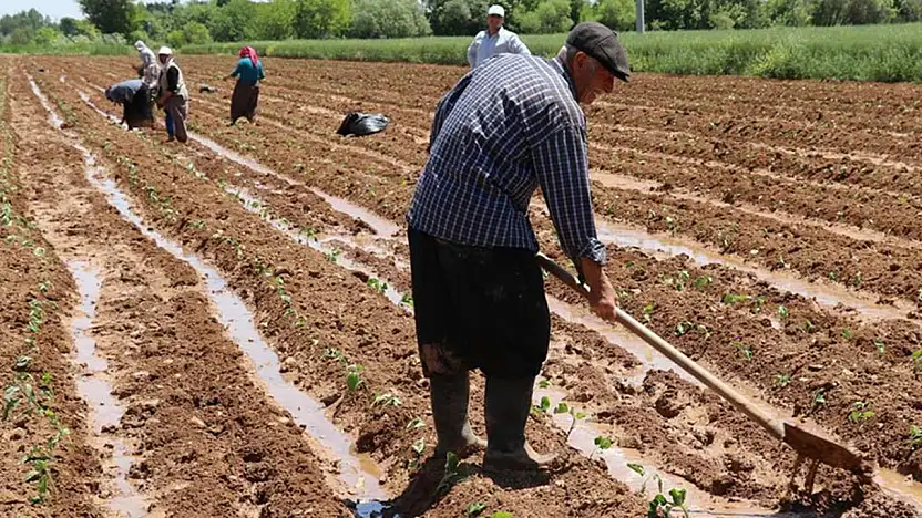 Destekleme Ödemeleri Başladı Kim, Ne Kadar Alacak?