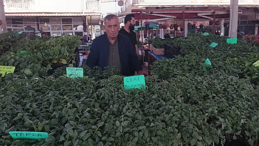 Don Felaketi Sonrası Fide Satışları Rekora Koşuyor