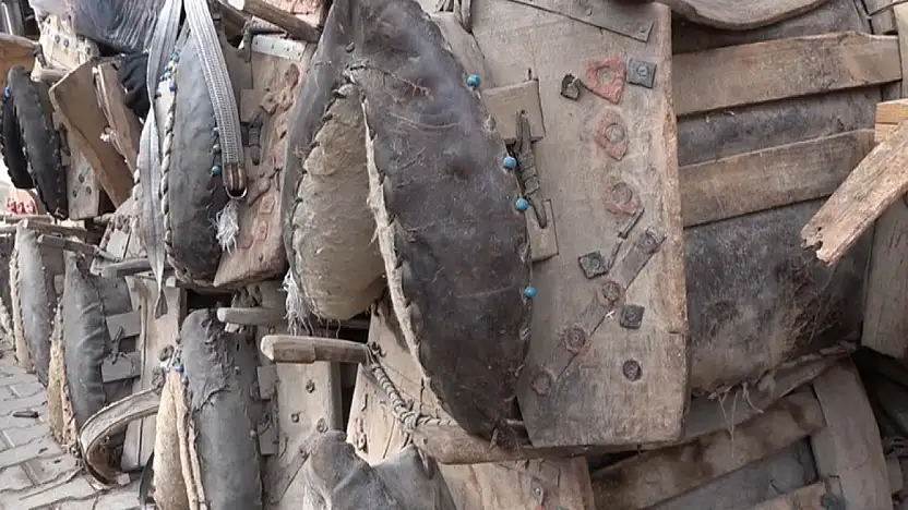 Eşeğin Sırtındaki Emek: Semercilik Neden Yok Olma Noktasına Geldi?