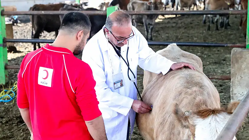 Kurban Vekâletinde Taksit Dönemi Kızılay'dan Yeni Kolaylık