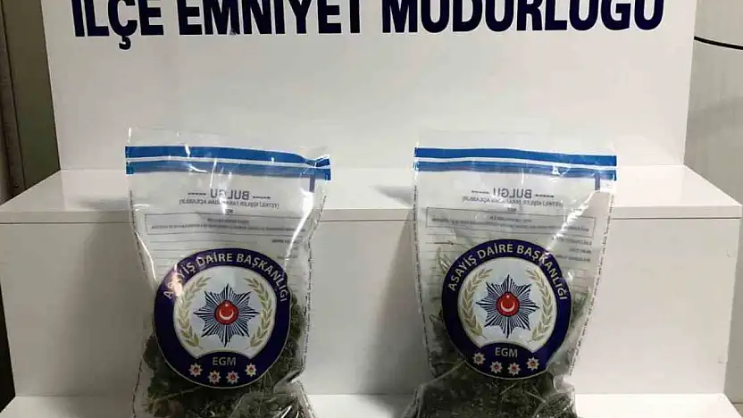 Malatya'da 752 gram esrar ele geçirildi: 1 kişi tutuklandı