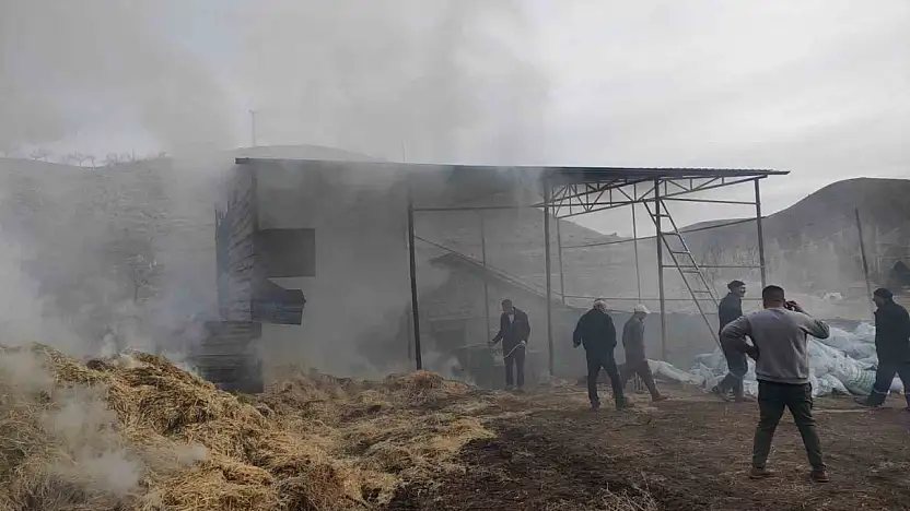 Malatya'da besi çiftliğinde yangın