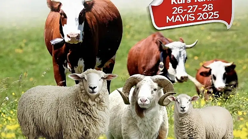 Malatya'da Kurban Kesimi Artık Profesyonel Ellerde Olacak!