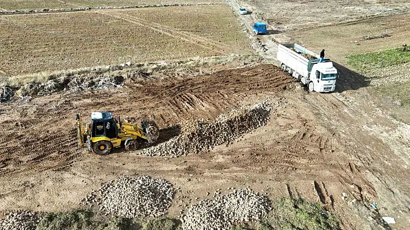 Malatya'da şeker pancarında yüksek verim çiftçinin yüzünü güldürdü
