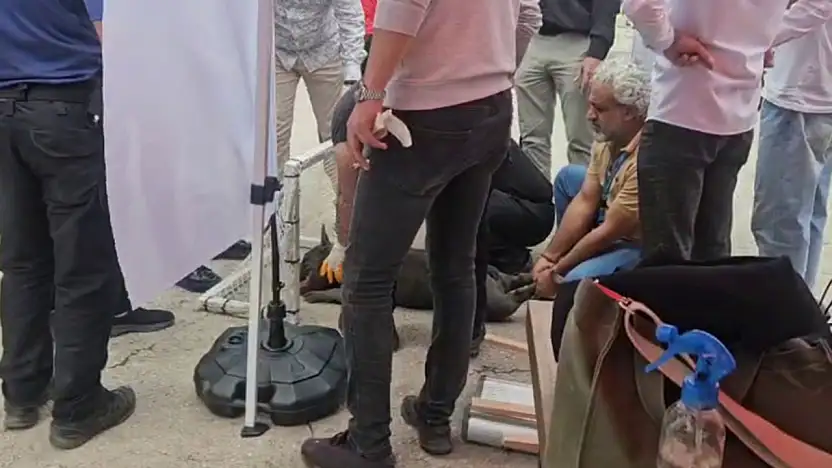 Pitbull Kalabalığa Dalınca 2 Kişi Yaralandı Malatya'da Şok Olay