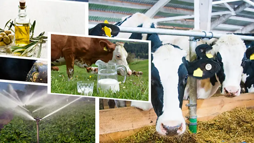 Tarımda Büyük Ödeme: Kim Ne Kadar Alacak?