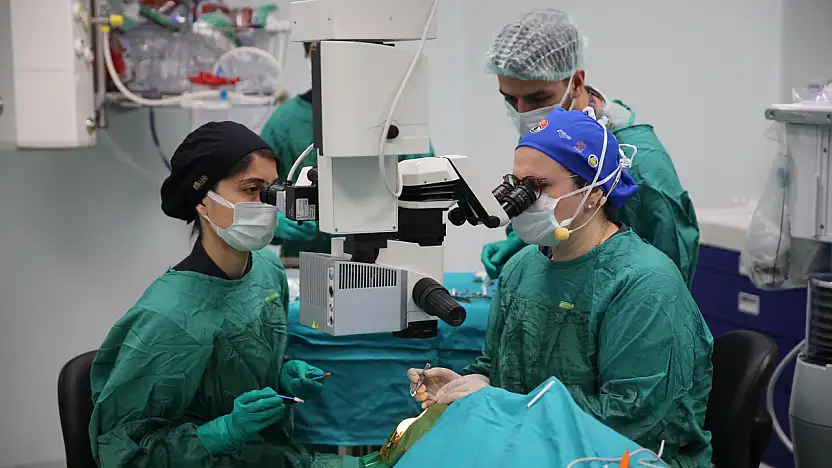 Türk Göz Doktorlarının Canlı Ameliyatları 40 Ülkeye Aktarıldı