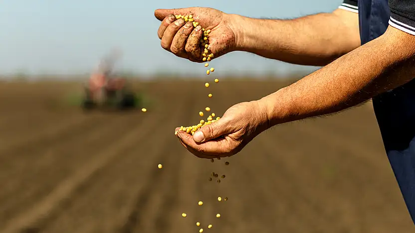 Türkiye'nin Tarım Geliri 74 Milyar Dolara Ulaştı Rekor Kırıldı