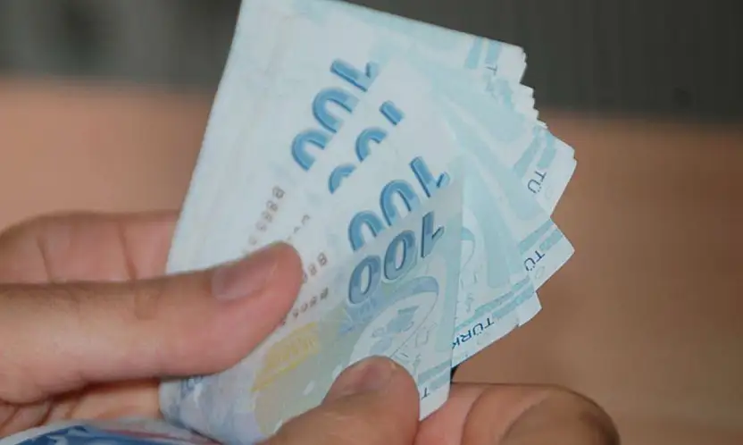 2024'te Sosyal Koruma Harcamaları Neden Bu Kadar Arttı?