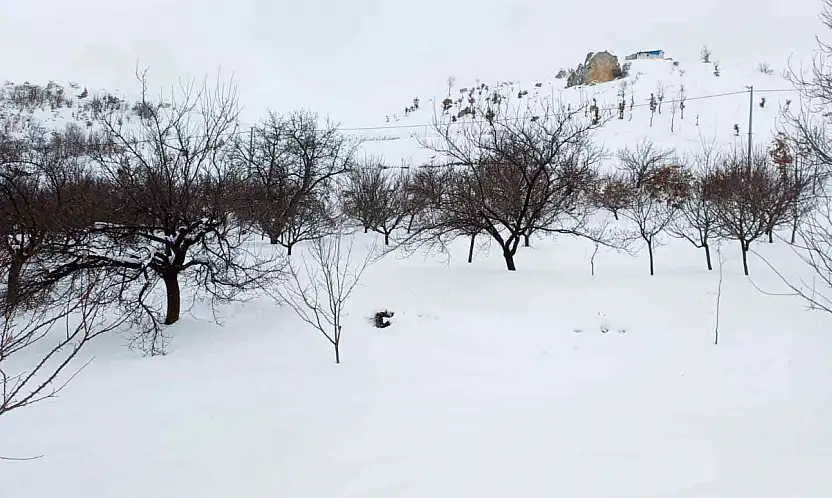 Akçadağ'da kar kalınlığı 1 metreye yaklaştı