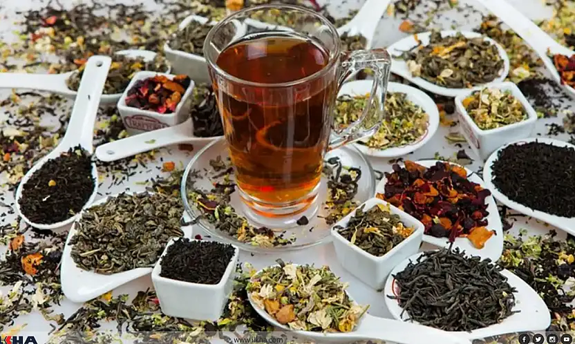 Bağışıklık İçin İçilen Bitki Çayları Ne Kadar Güvenli?