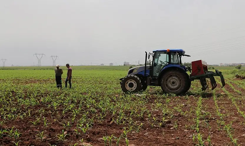 Çiftçi Kayıt Sistemi başvuruları 31 Aralık'ta sona erecek