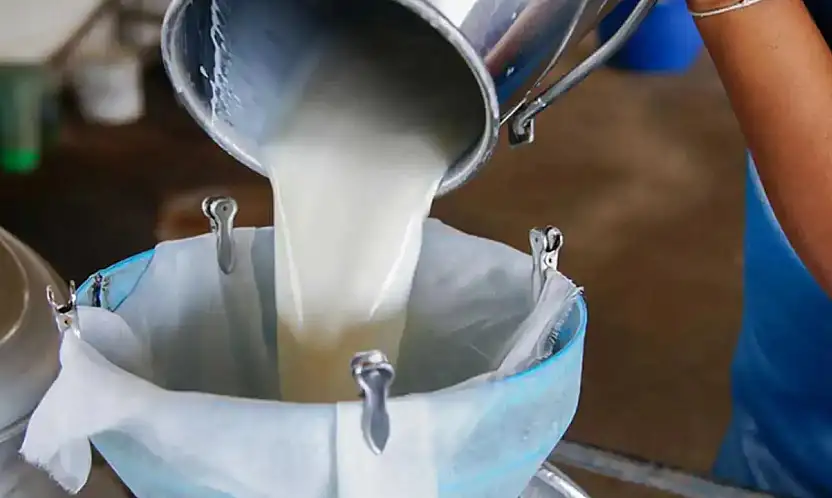 Çiğ süt tavsiye fiyatı belirlendi