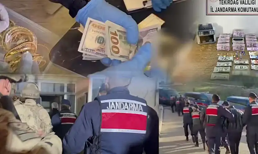 Dolandırıcılık ve Tefecilik Şebekeleri Çökertildi