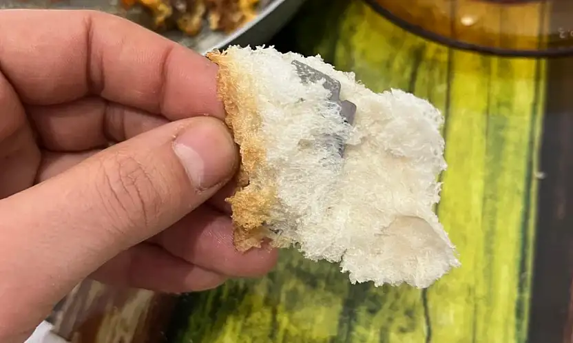 Ekmeğin içinden çıkanı görünce şok oldu