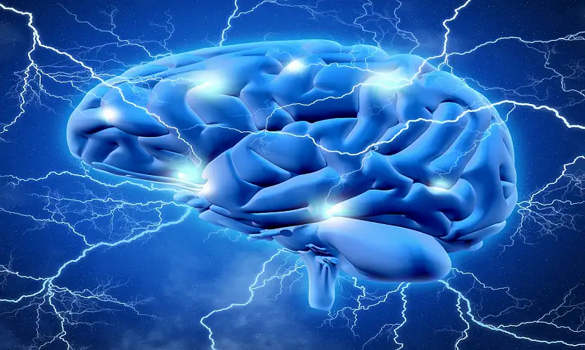 ingapur'dan beyin yaşlanmasına karşı yeni keşif