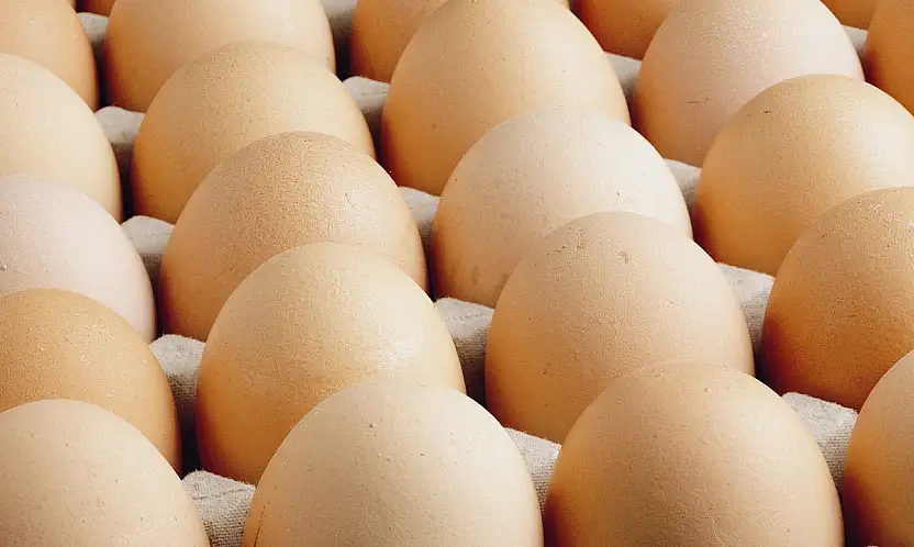 Kişi başına düşen yumurta üretimi 15 adet azaldı