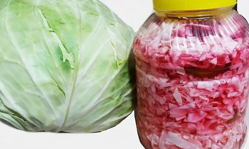 Lahana turşusu tok tutuyor