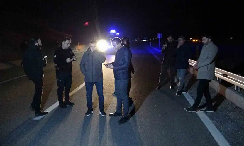 Yarış Atları Karayolunu Bastı! 6 At Telef Oldu 2 Kişi Yaralandı