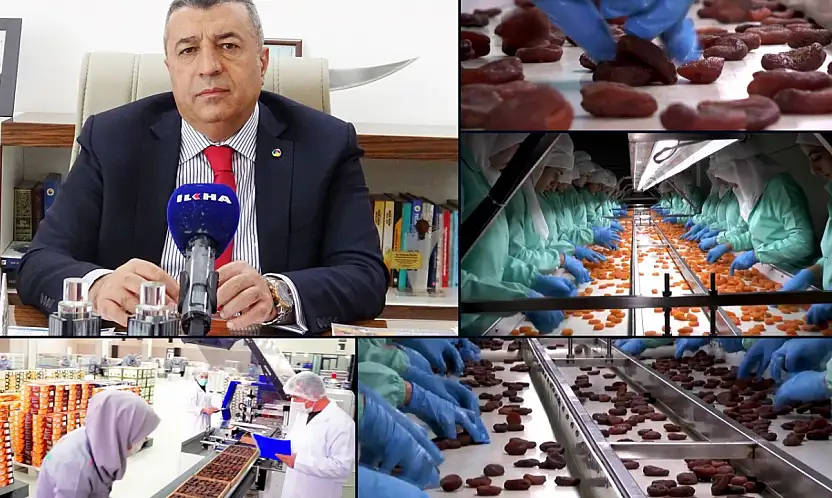 Malatya kayısısında ihracat 10 ayda 41 bin tonu geçti