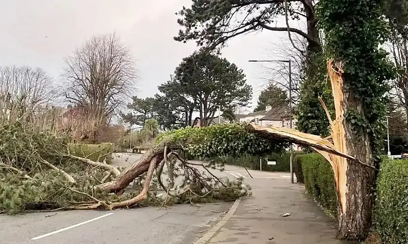 Meteoroloji'den kuvvetli rüzgâr uyarısı