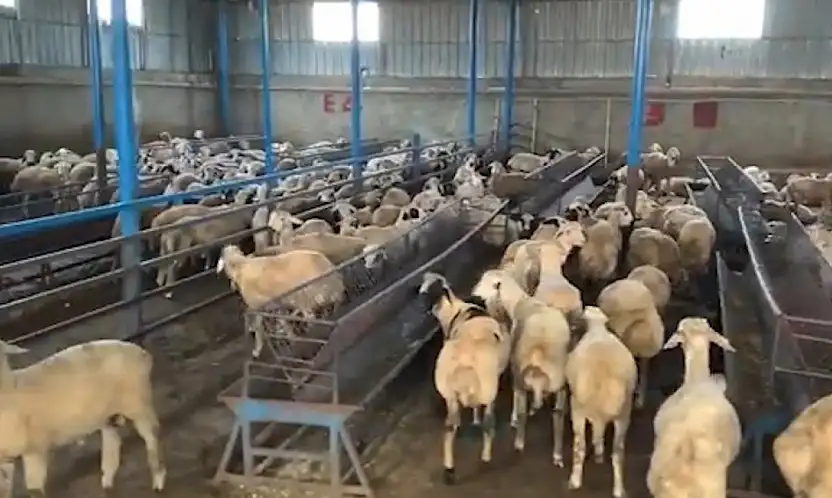 Sahte banka dekontlarıyla 14 milyon TL'lik vurgun