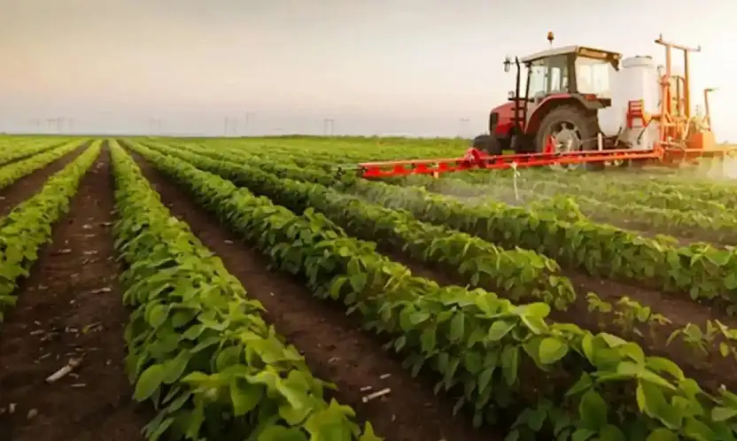 Tarım Üretici Fiyatları Aralık'ta Neden Arttı?