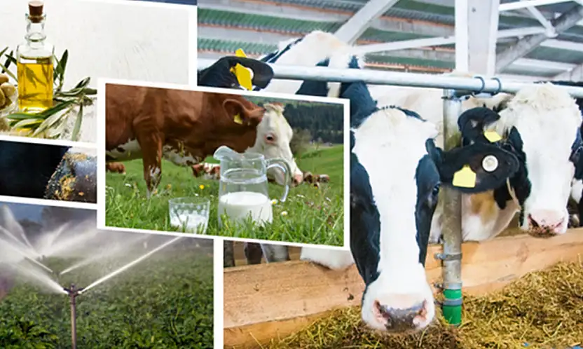 Tarımda Büyük Ödeme: Kim Ne Kadar Alacak?