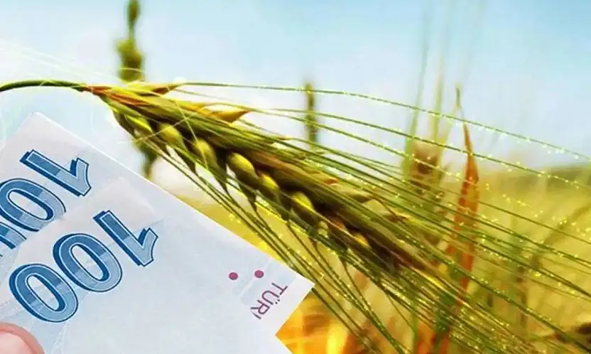 Tarımsal Destek Ödemeleri Dağıtılıyor! Kim, Ne Kadar Alacak?