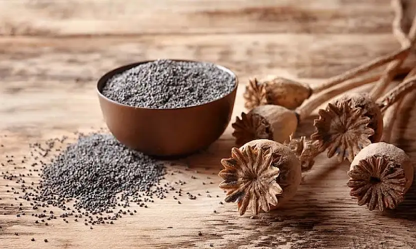 TMO mavi renkli haşhaş tohumunun satışına başladı