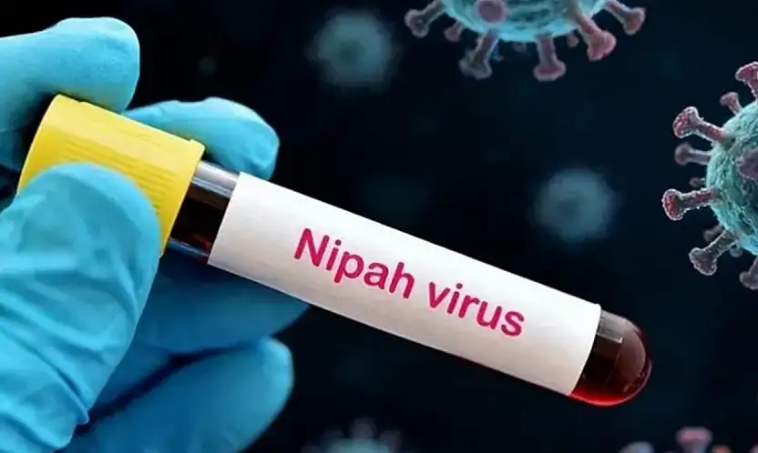 Yüzde 75 Ölüm Oranı! Nipah Virüsü Korkutuyor